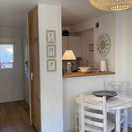 Avec Jardin A Deux Pas Du Port - - Fr-1-487-279 디베쉬르메르