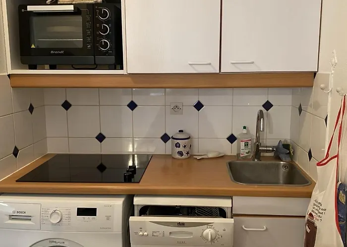 Appartamento Avec Jardin à Deux Pas Du Port - - Fr-1-487-279 *